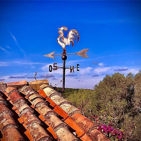 Spartaco Eco Retreat San Pantaleo بيت ضيافة 4*