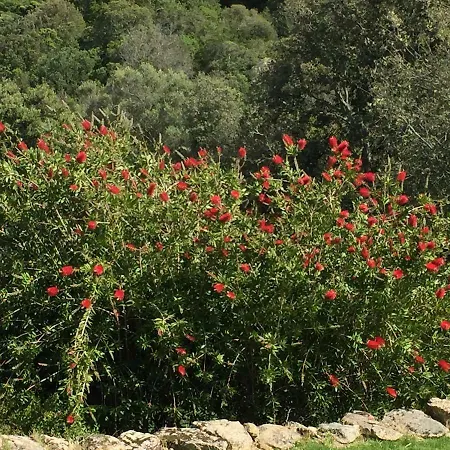 Spartaco Eco Retreat San Pantaleo *