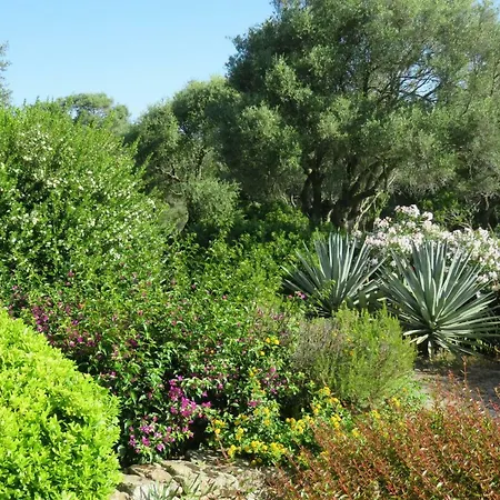 Guest house Spartaco Eco Retreat San Pantaleo