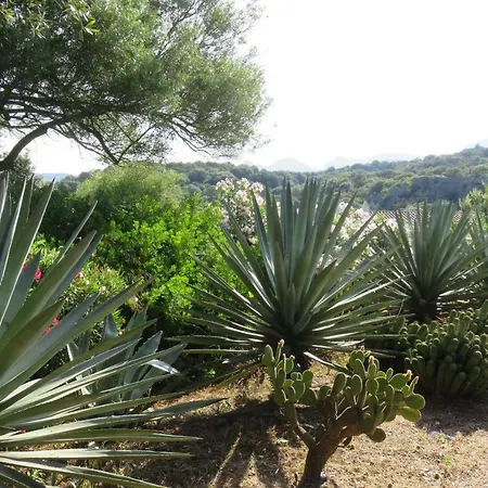 Spartaco Eco Retreat San Pantaleo Guest house *