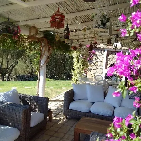 ゲストハウス Spartaco Eco Retreat San Pantaleo